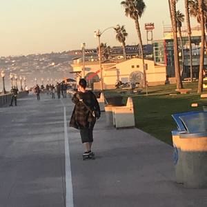 Meet your Posher, Tara